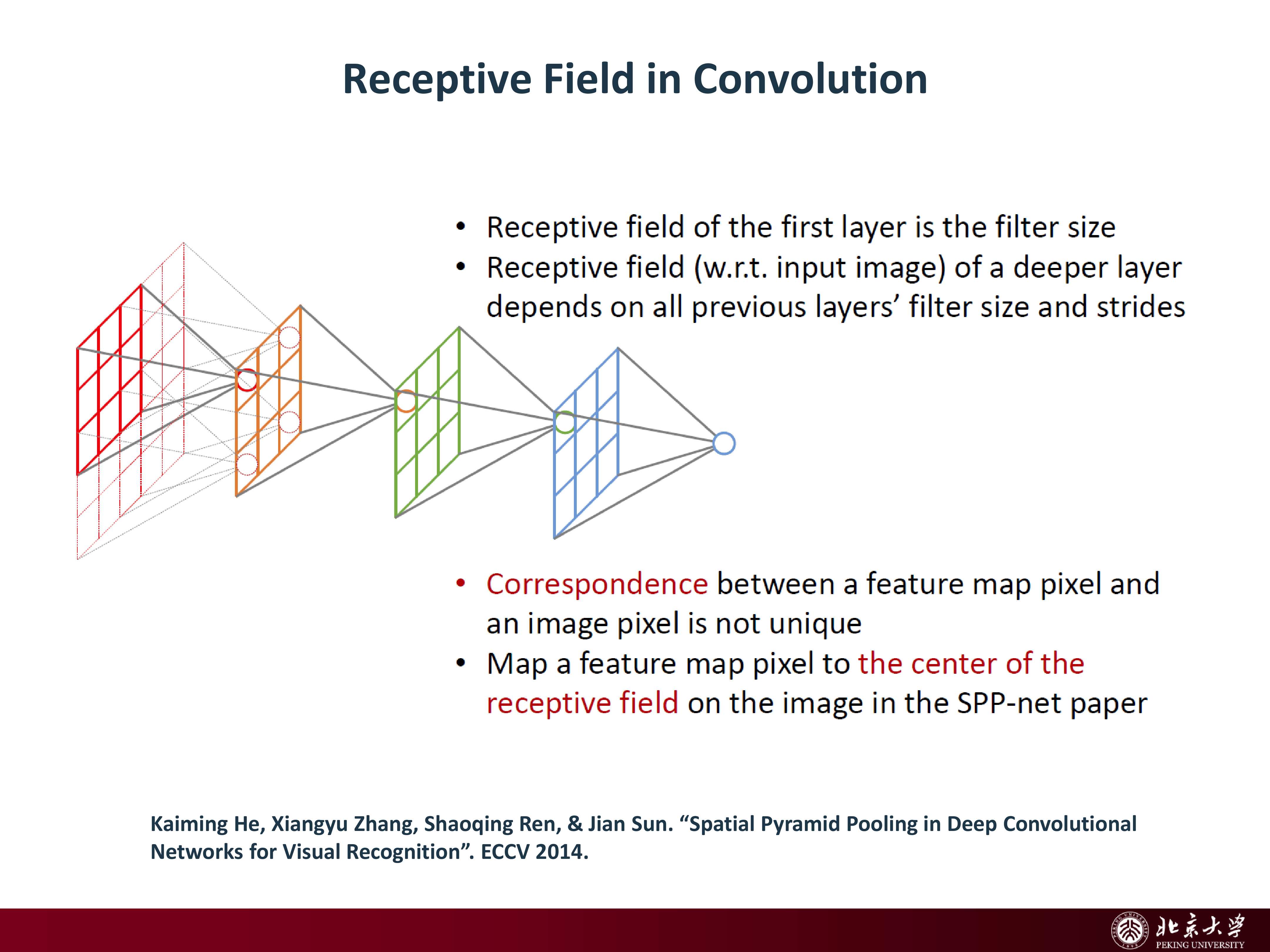 Receptive field