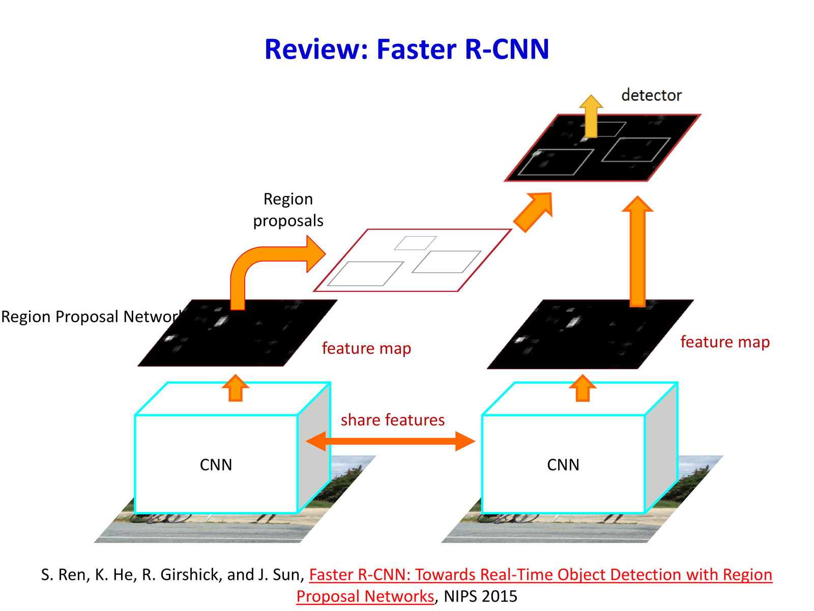 Faster R-CNN: share features