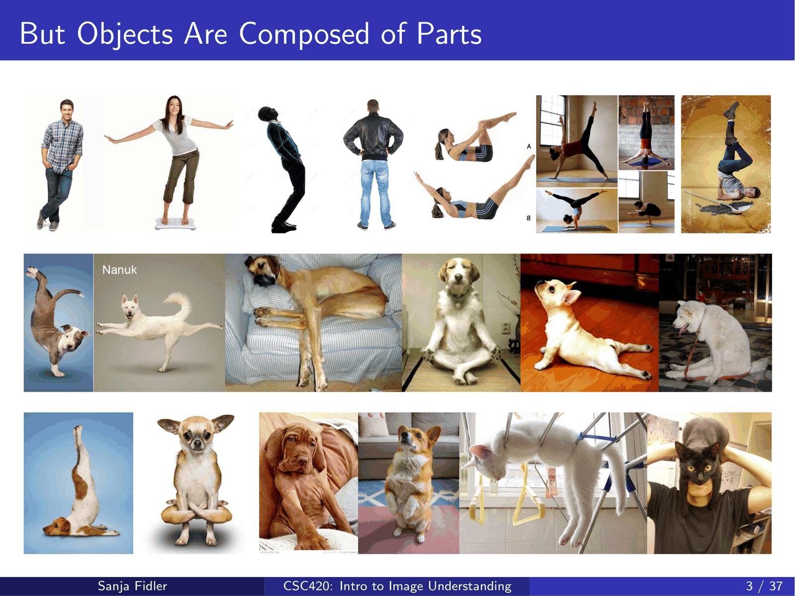 Objects are composed of deformable parts