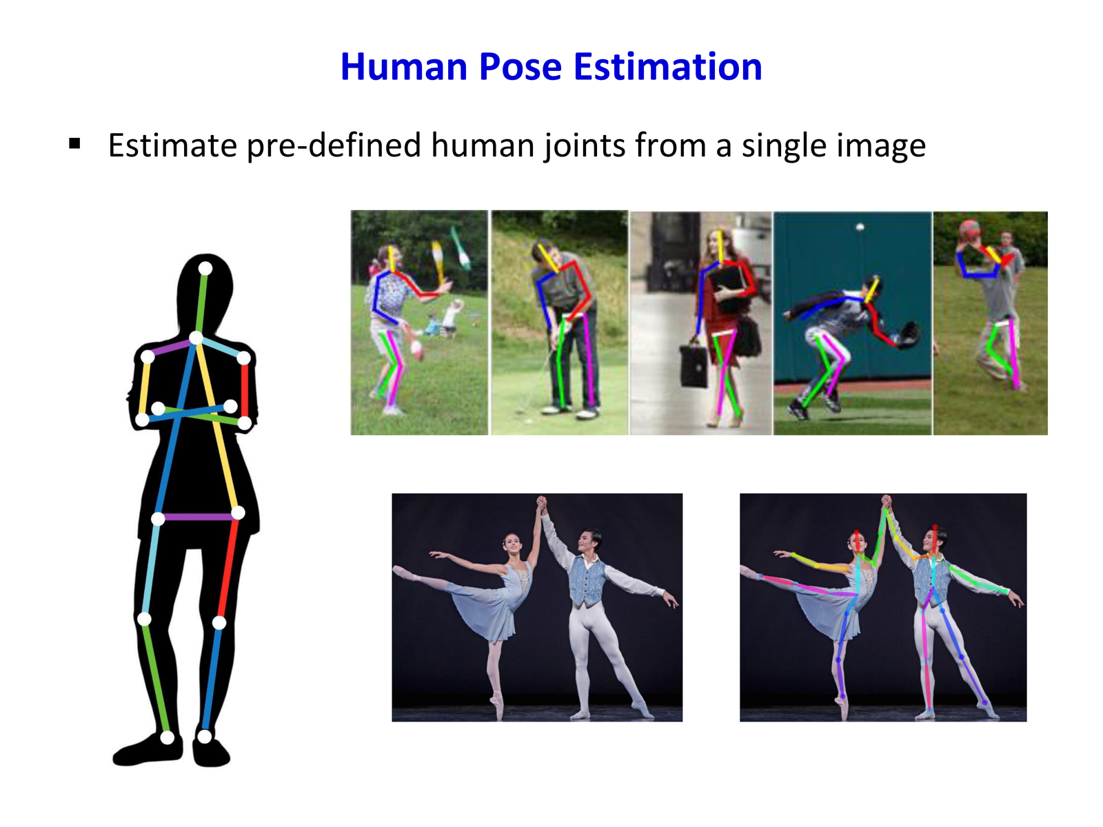 Human Pose Estimation 任务