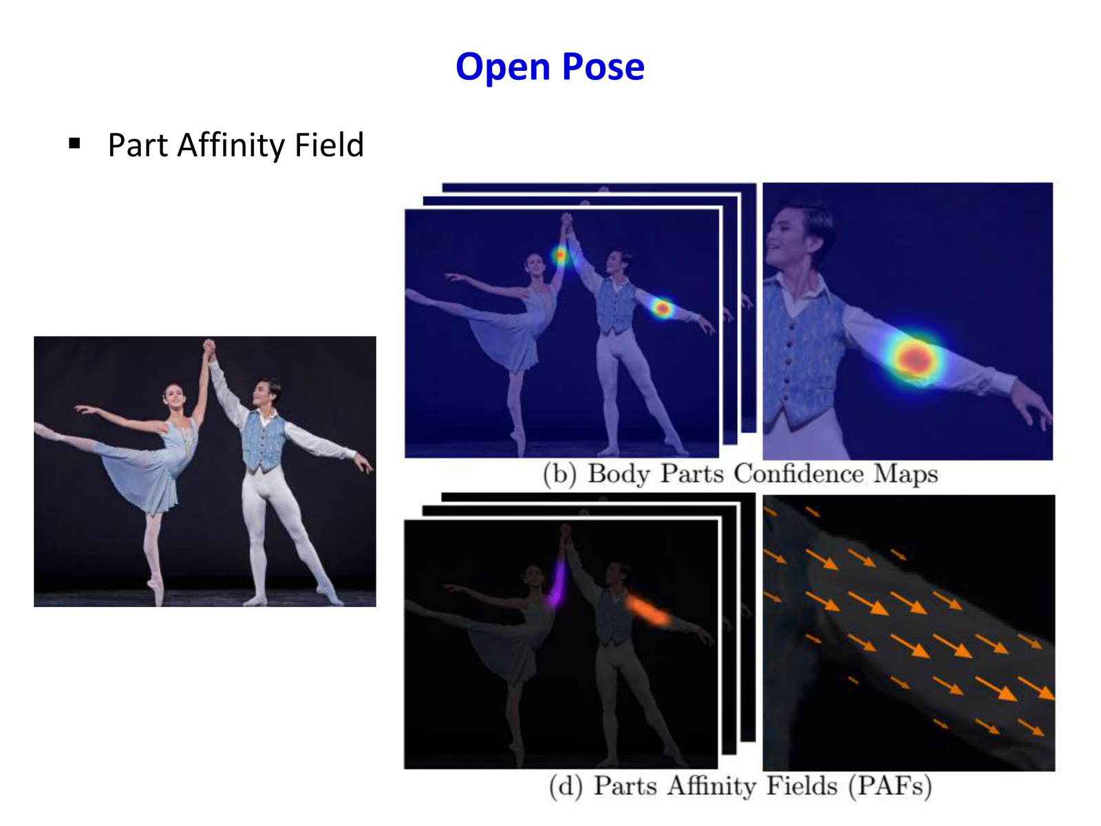 Part Affinity Field