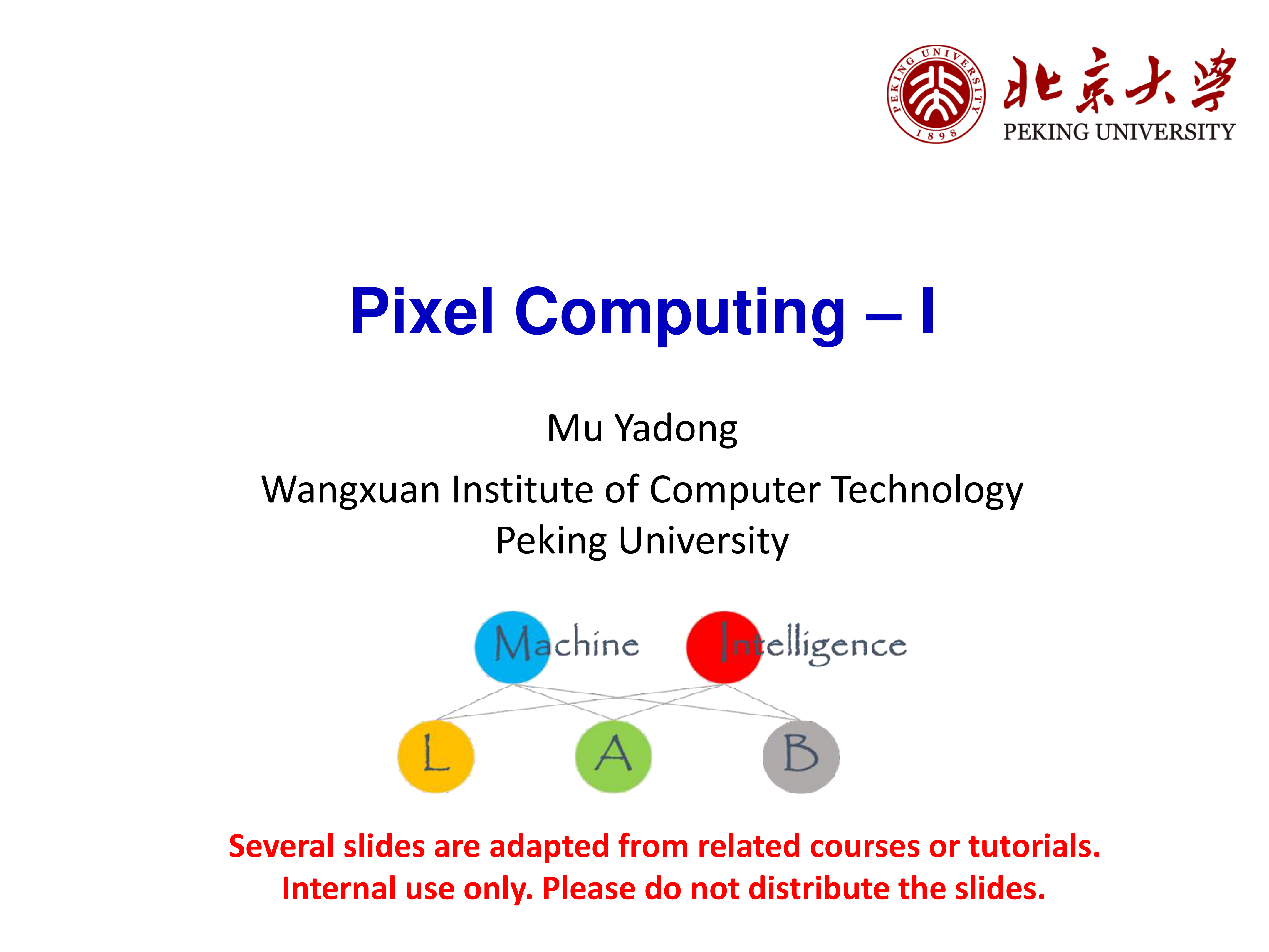 Pixel Computing - I