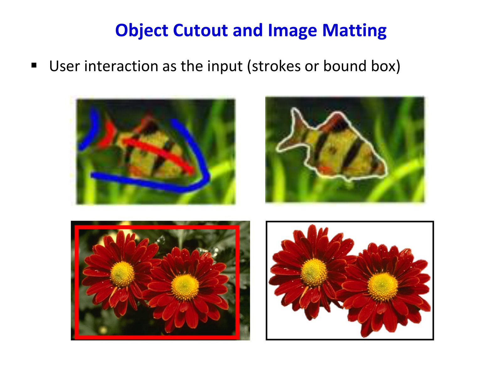 User interaction as input