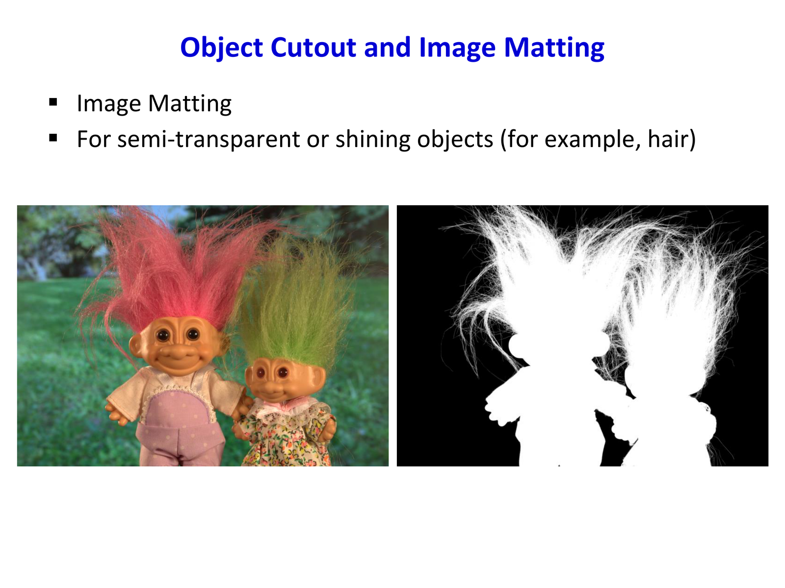 Image Matting for hair