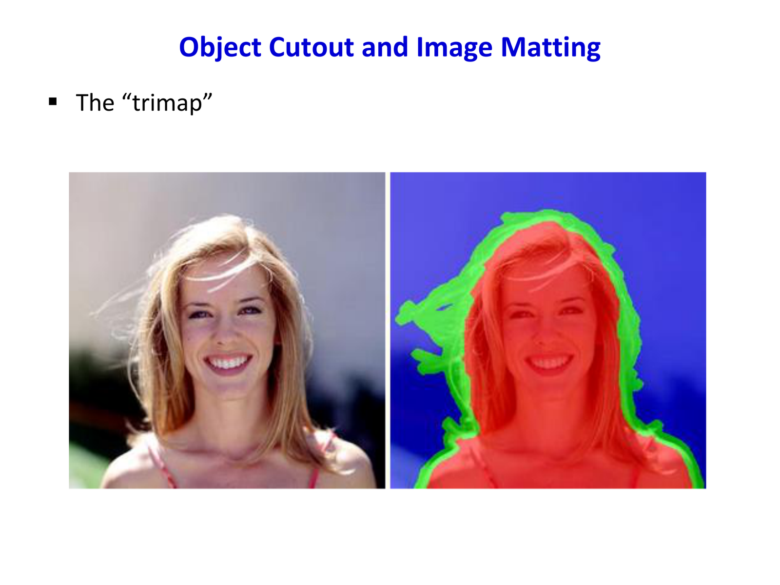 Trimap