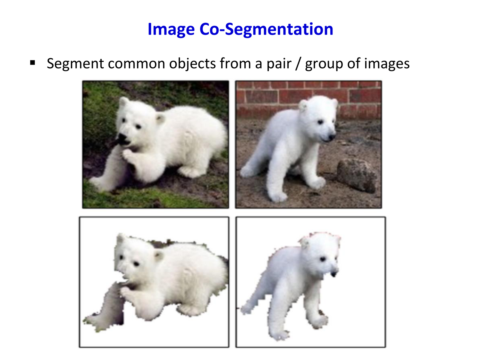 Image Co-Segmentation