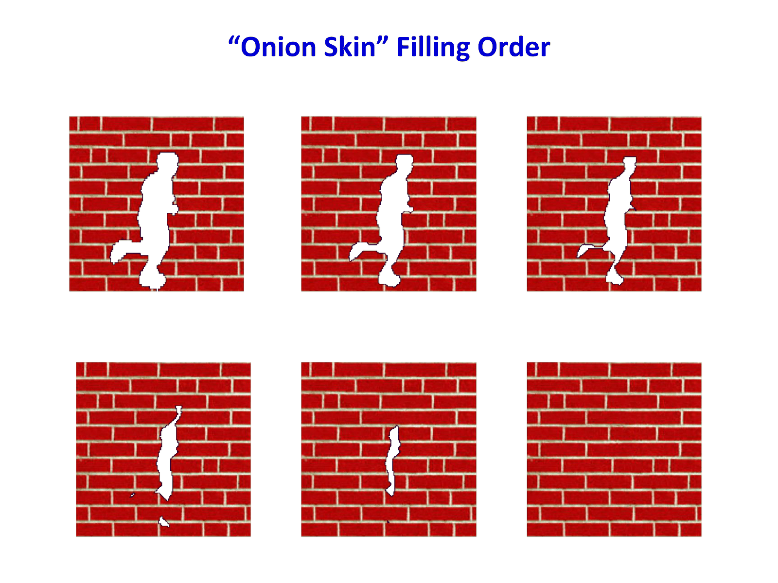 Onion skin order