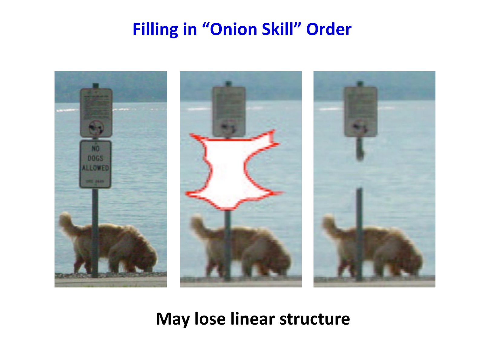 Onion skin may lose structure