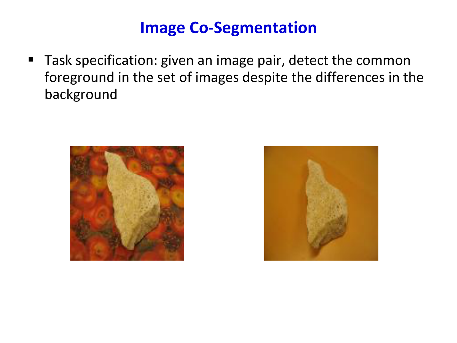 Co-segmentation task