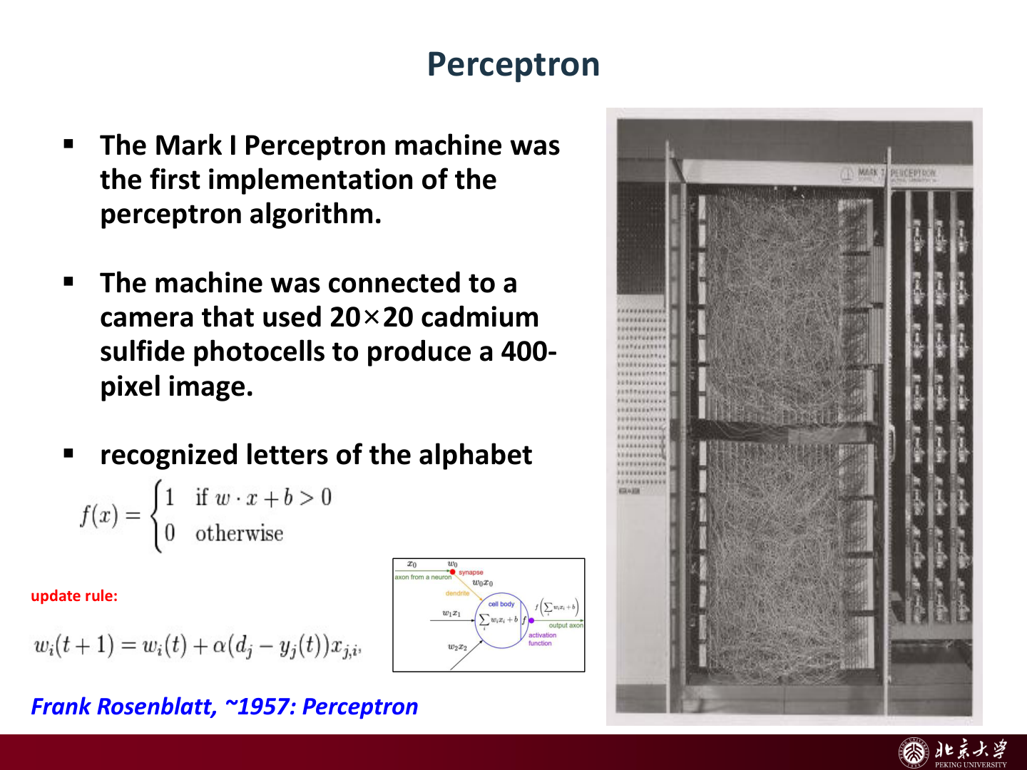 Perceptron 历史起点