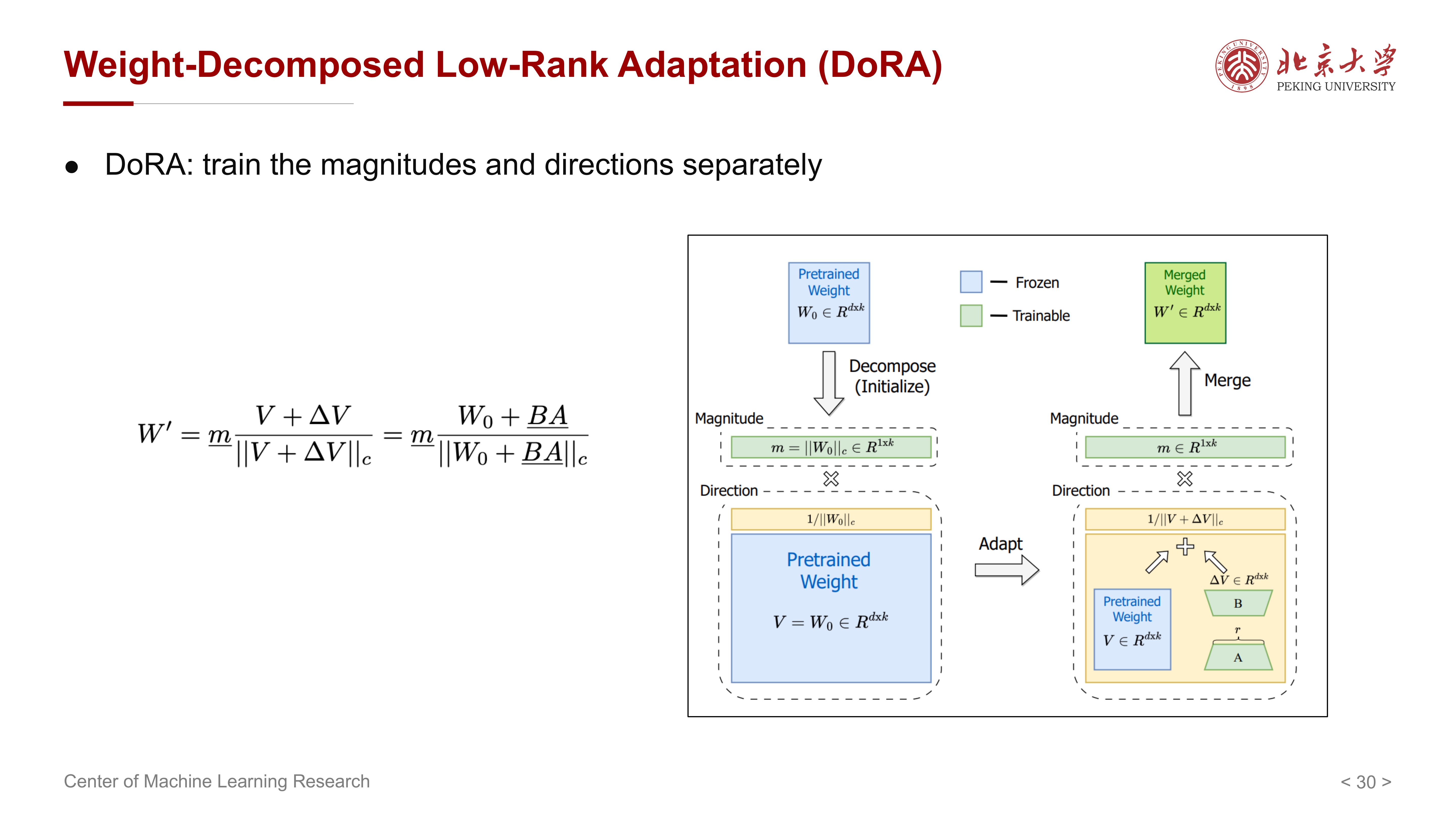 DoRA train the magnitudes and directions separately