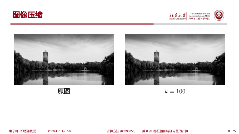 原图 vs k=100